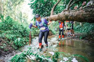 BIB: 
                            <button type="button" onclick="openModal(25517883)" class="btn btn-primary btn-sm float-right btn-popup" data-toggle="modal" data-target=".modal-high-quality">
                        <i class="fas fa-shopping-cart"></i> Add to Cart
                    </button>
                                            <button type="button" onclick="isThisMe(25517883, true)" class="btn btn-success btn-sm float-right btn-popup btn-isme hidden" data-toggle="tooltip" data-placement="bottom" title="นี่คือรูปของคุณใช่ไหม คลิกที่นี่เพื่อเอาเข้าอัลบั้ม">
                        <i class="fas fa-plus"></i> Add to album
                    </button>
                    <button type="button" onclick="isThisMe(25517883, false)" class="btn btn-warning btn-sm float-right btn-popup btn-isnotme hidden">
                        <i class="fas fa-ban"></i> Remove from album
                    </button>